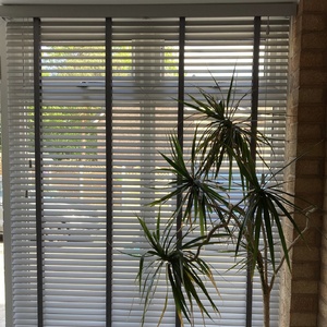 25mm Wood Venetian Blinds