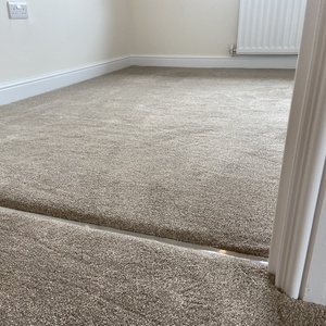 Beige Carpet