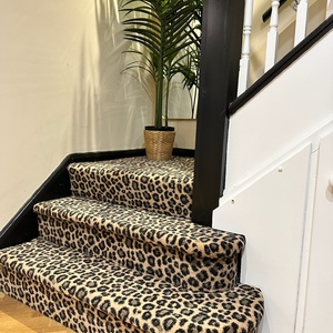 Leopard print carpet on stairs
