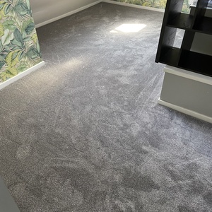 Luxury Grey Carpet