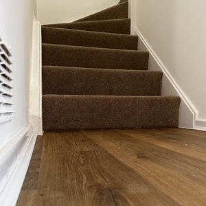 Oak Laminate Brown Carpet